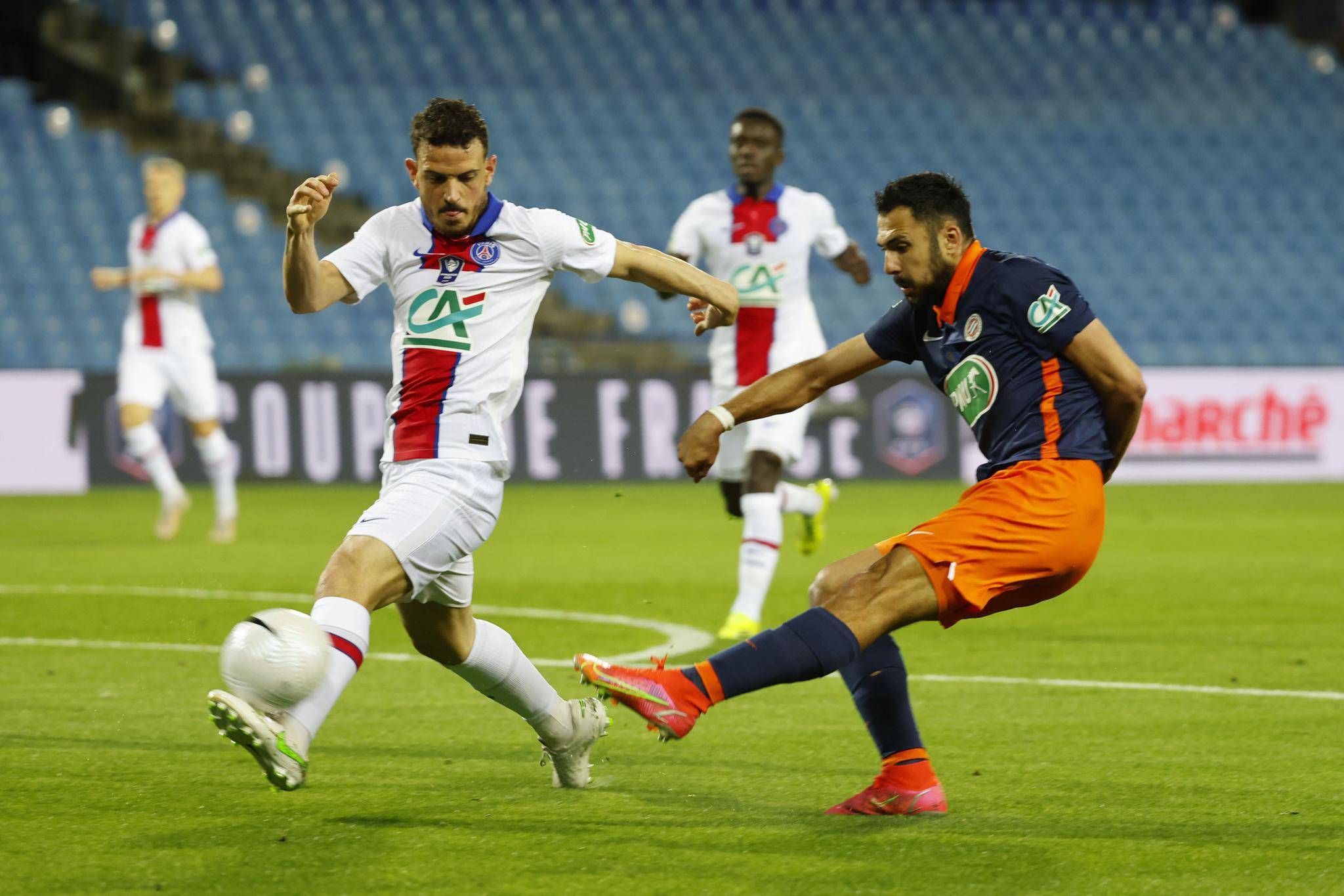 法国队绝杀波兰队，张本智和带队取胜