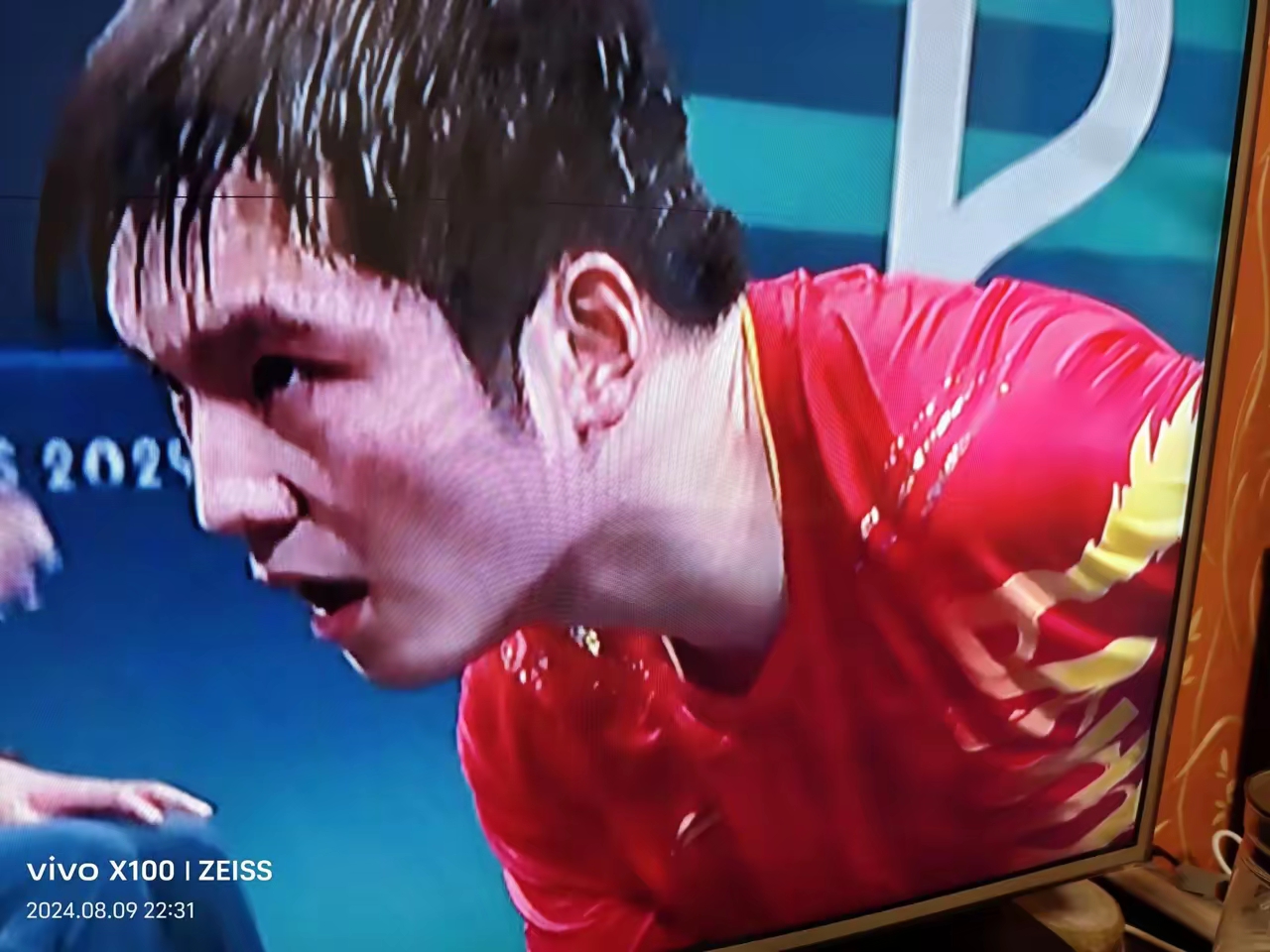 瑞典队翻盘中国队，樊振东惊艳四座