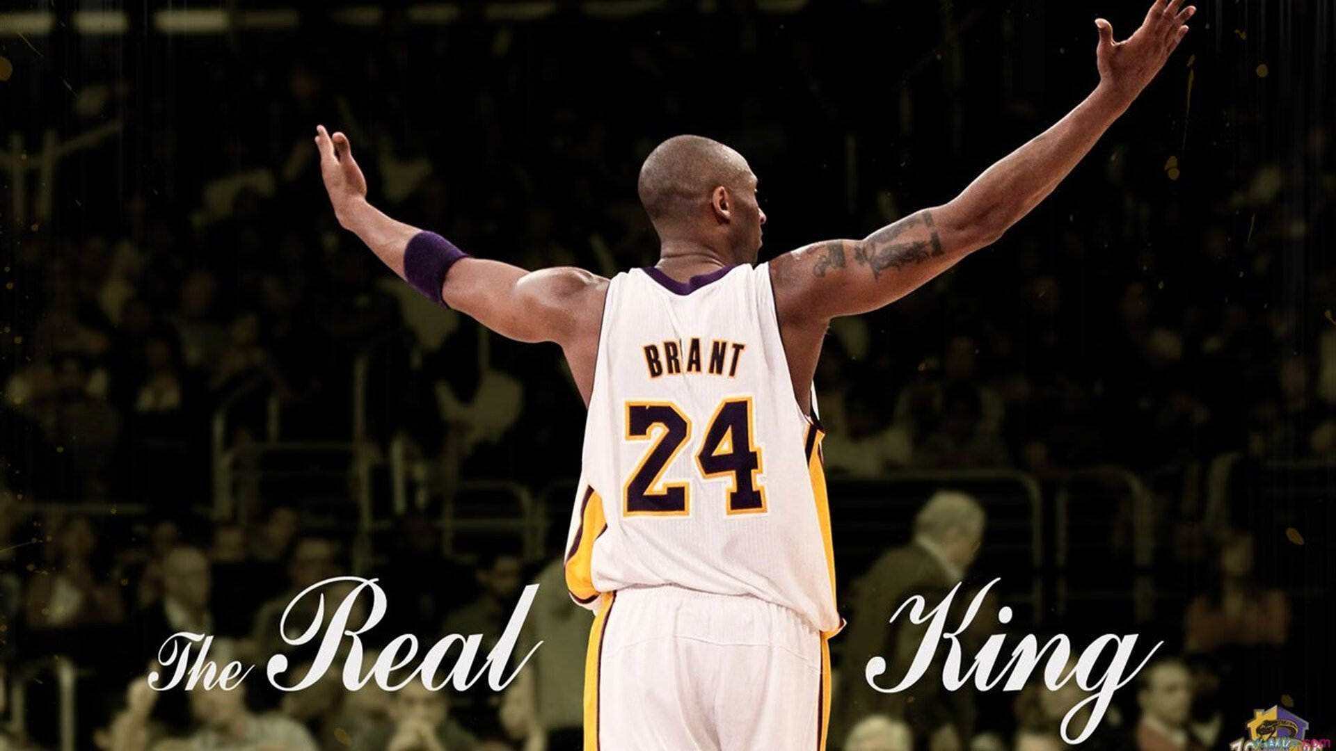 东决关键战提前终结悬念,步行者山西队战术颠覆篮球认知